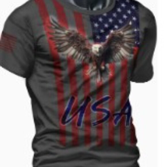 Eagle & Flag All-Season T-Shirt Stretch Comfort & Regular Fit Men's size Large - Picture 2 of 7